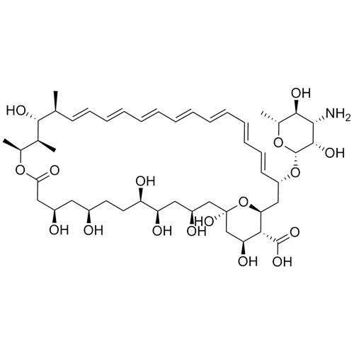 Amphotericin B