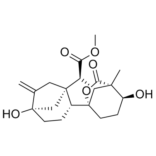 Gibberellin A1 Methyl Ester