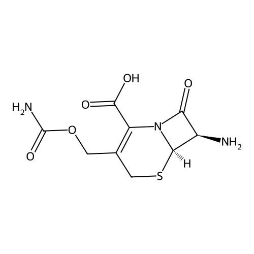 (7R)-7-Amino Cefoxitin