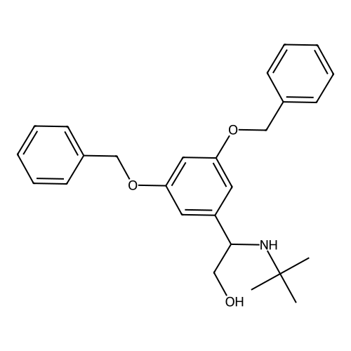 Terbutaline Impurity 21