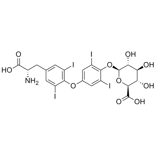 Levothyroxine phenolic glucuronide